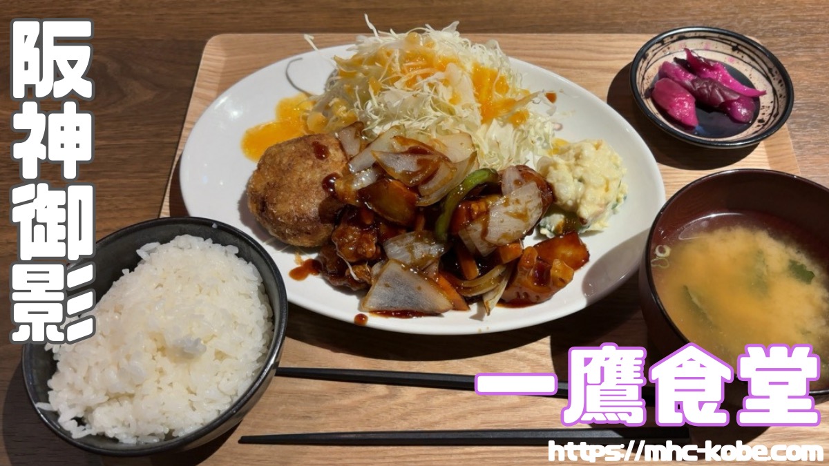 【駅近】ランチに飲み放題にボリューム満点ご飯【一鷹食堂】阪神御影