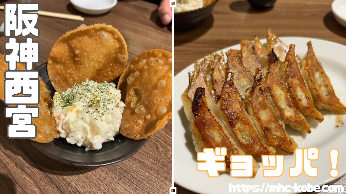 餃子とアテでお酒がススム【ギョッパ！】阪神西宮